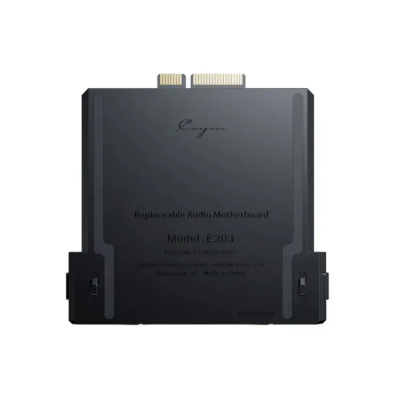 Cayin E203 主板模組