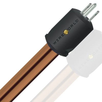 Wireworld Electra™ 10 電源線