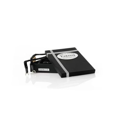 Entreq Eartha Silver Infinity 地線