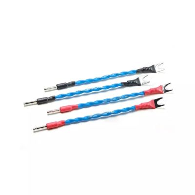 Siltech Classic Legend 380L 喇叭跳線