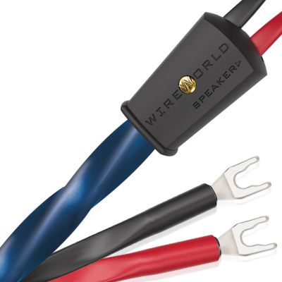 Wireworld Oasis® 10 喇叭線