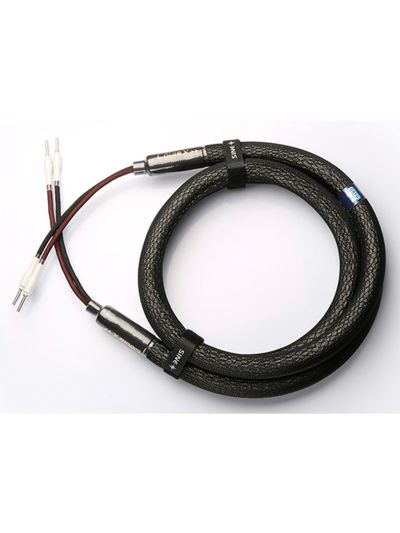 SINE Louis X 喇叭線